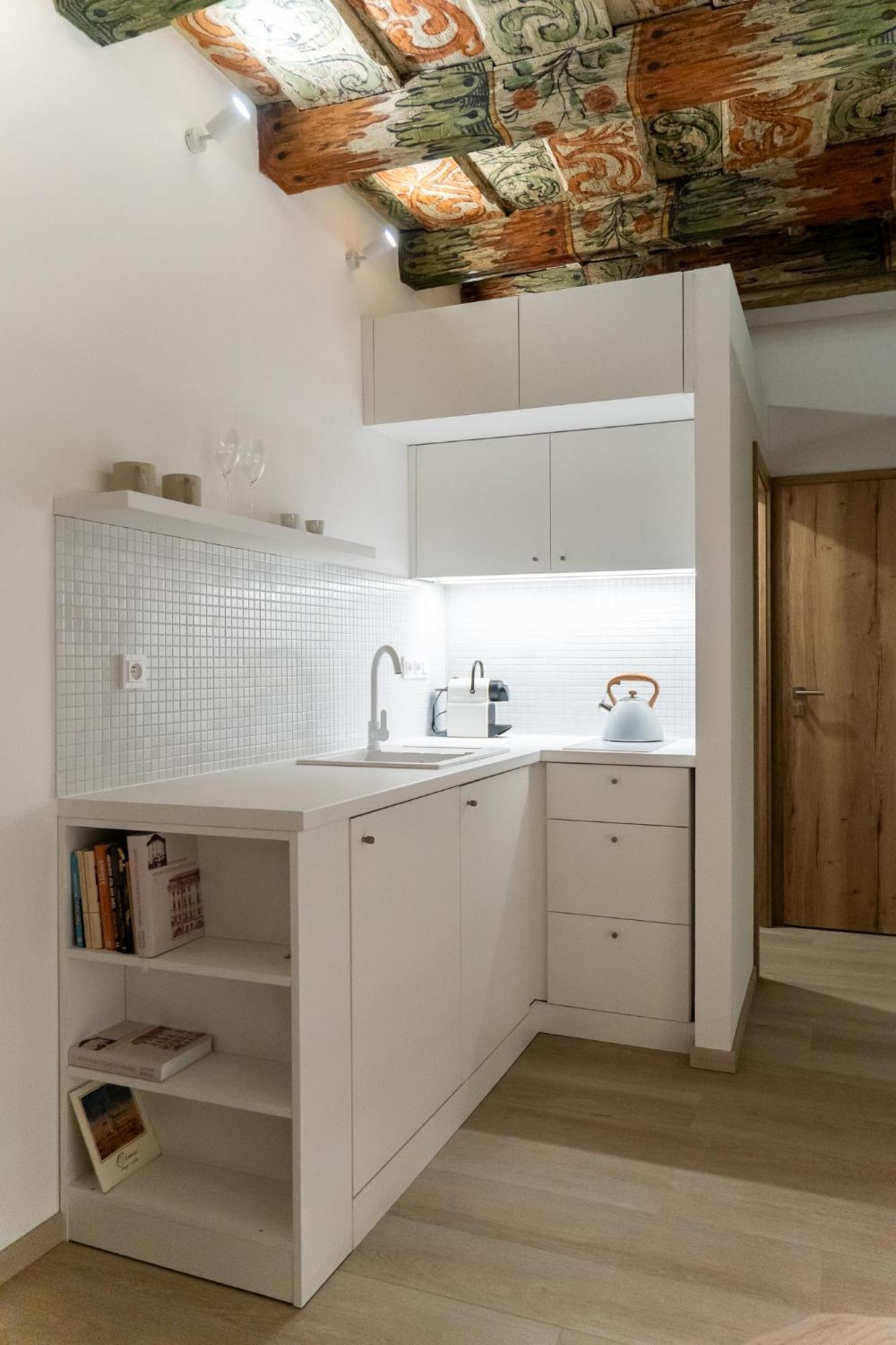 White Wolf Boutique Apartments 올로모우츠 외부 사진